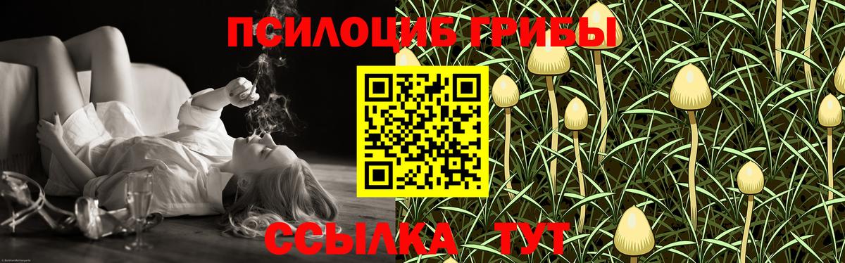 Чапаевск  Псилоцибиновые грибы MAGIC MUSHROOMS  Галлюциногенные грибы Psilocybine cubensis  Вход с VPN 